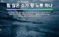 🌟힘 많은 소가 왕 노릇 하나: 소가 아무리 크고 힘이 세다 할지라도 왕 노릇은 할 수 없다는 뜻으로, 힘... - 표준국어대사전