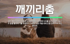 🌟깨끼리춤: 양주 별산대놀이나 송파 산대놀이에서, 오른쪽 다리를 앞으로 굽혀 들고 두 팔을 활개펴기를 하였... - 표준국어대사전