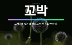 🌟꼬박: 도자기를 빚는 데 쓰려고 이긴 진흙 한 덩이. - 표준국어대사전