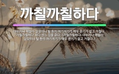 🌟까칠까칠하다: 야위거나 메말라 살갗이나 털 등의 여기저기가 매우 윤기가 없고 거칠다. ‘가칠가칠하다’보다... - 표준국어대사전