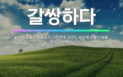 🌟갈쌍하다: 눈에 눈물이 넘칠 듯이 가득하게 고이다., 눈에 눈물이 넘칠 듯이 가득하다. - 표준국어대사전