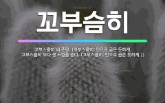 🌟꼬부슴히: ‘꼬부스름히’의 준말. (꼬부스름히: 안으로 곱은 듯하게. ‘고부스름히’보다 센 느낌을 준다.... - 표준국어대사전