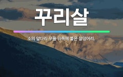 🌟꾸리살: 소의 앞다리 무릎 위쪽에 붙은 살덩어리. - 표준국어대사전