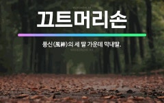 🌟끄트머리손: 풍신(風神)의 세 딸 가운데 막내딸. - 표준국어대사전
