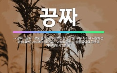 🌟끙짜: → 강짜. (강짜: ‘강샘’을 속되게 이르는 말. (강샘: 부부 사이나 사랑하는 이성(異性) 사이... - 표준국어대사전
