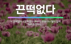 🌟끈떡없다: → 끄떡없다. (끄떡없다: 아무런 변동이나 탈이 없이 매우 온전하다.) - 표준국어대사전