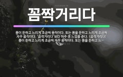 🌟꼼짝거리다: 몸이 둔하고 느리게 조금씩 움직이다. 또는 몸을 둔하고 느리게 조금씩 자꾸 움직이다. ‘곰작... - 표준국어대사전