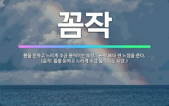 🌟꼼작: 몸을 둔하고 느리게 조금 움직이는 모양. ‘곰작’보다 센 느낌을 준다. (곰작: 몸을 둔하고 느리... - 표준국어대사전