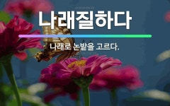 🌟나래질하다: 나래로 논밭을 고르다. - 표준국어대사전