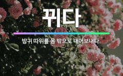 🌟뀌다: 방귀 따위를 몸 밖으로 내어보내다. - 표준국어대사전