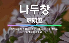 🌟나두창: 위장 계통의 열 때문에 머리에 나는 부스럼. 모양이 나병과 비슷하다. - 표준국어대사전