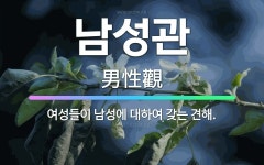 🌟남성관: 여성들이 남성에 대하여 갖는 견해. - 표준국어대사전