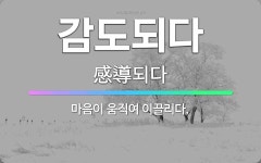 🌟감도되다: 마음이 움직여 이끌리다. - 표준국어대사전