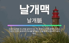 🌟날개맥: 곤충의 날개에 무늬처럼 갈라져 있는 맥. 번데기 시기에 체액이 흐르고 기관과 신경이 분포하여 대... - 표준국어대사전