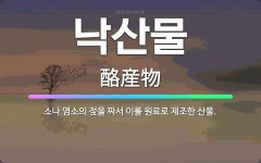 🌟낙산물: 소나 염소의 젖을 짜서 이를 원료로 제조한 산물. - 표준국어대사전
