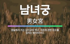 🌟남녀궁: 점술에서 쓰는 십이궁의 하나. 자손에 관한 운수를 점치는 별자리이다. - 표준국어대사전