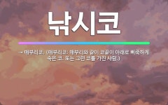 인마크리코 | 🌟낚시코: → 매부리코. (매부리코: 매부리와 같이 코끝이 아래로 삐죽하게 숙은 코. 또는 그런 코를 가진... - 표준국어대사전