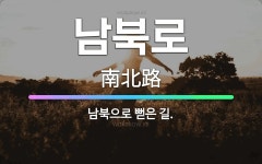🌟남북로: 남북으로 뻗은 길. - 표준국어대사전