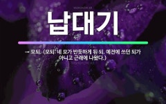 🌟납대기: → 모되. (모되: 네 모가 반듯하게 된 되. 예전에 쓰던 되가 아니고 근래에 나왔다.) - 표준국어대사전