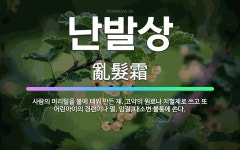 🌟난발상: 사람의 머리털을 불에 태워 만든 재. 고약의 원료나 지혈제로 쓰고 또 어린아이의 경련이나 열, ... - 표준국어대사전
