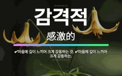🌟감격적: 마음에 깊이 느끼어 크게 감동하는 것., 마음에 깊이 느끼어 크게 감동하는. - 표준국어대사전