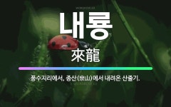 🌟내룡: 풍수지리에서, 종산(宗山)에서 내려온 산줄기. - 표준국어대사전