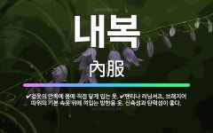 🌟내복: 겉옷의 안쪽에 몸에 직접 닿게 입는 옷., 팬티나 러닝셔츠, 브래지어 따위의 기본 속옷 위에 껴입... - 표준국어대사전