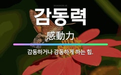 🌟감동력: 감동하거나 감동하게 하는 힘. - 표준국어대사전