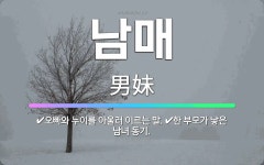 🌟남매: 오빠와 누이를 아울러 이르는 말., 한 부모가 낳은 남녀 동기. - 표준국어대사전