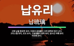 🌟납유리: 산화 납을 함유한 유리. 비중과 굴절률이 크며 광택과 빛이 난다. 크리스털 유리, 모조 보석, ... - 표준국어대사전