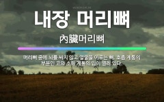 🌟내장 머리뼈: 머리뼈 중에 뇌를 싸지 않고 얼굴을 이루는 뼈. 호흡 계통의 부분인 코와 소화 계통의 입이... - 표준국어대사전