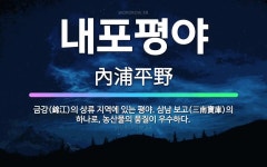 🌟내포평야: 금강(錦江)의 상류 지역에 있는 평야. 삼남 보고(三南寶庫)의 하나로, 농산물의 품질이 우수하다. - 표준국어대사전