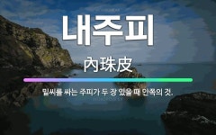 🌟내주피: 밑씨를 싸는 주피가 두 장 있을 때 안쪽의 것. - 표준국어대사전