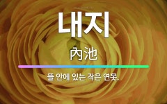 🌟내지: 뜰 안에 있는 작은 연못. - 표준국어대사전