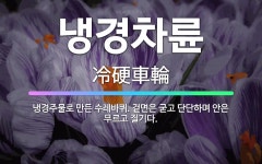 🌟냉경차륜: 냉경주물로 만든 수레바퀴. 겉면은 굳고 단단하며 안은 무르고 질기다. - 표준국어대사전