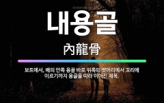 🌟내용골: 보트에서, 배의 안쪽 용골 바로 위쪽의 뱃머리에서 꼬리에 이르기까지 용골을 따라 이어진 재목. - 표준국어대사전