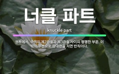 🌟너클 파트: 권투에서, 주먹의 제2관절과 제3관절 사이의 평평한 부분. 이 밖의 부분으로 상대편을 치면 ... - 표준국어대사전