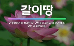🌟갈이땅: 경작하기에 적당한 땅., 토질이 부드러워 갈고 맬 수 있는 땅 표면의 흙. - 표준국어대사전
