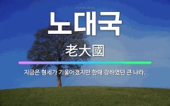 🌟노대국: 지금은 형세가 기울어졌지만 한때 강하였던 큰 나라. - 표준국어대사전