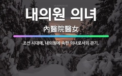 🌟내의원 의녀: 조선 시대에, 내의원에 속한 의녀로서의 관기. - 표준국어대사전