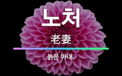 🌟노처: 늙은 아내. - 표준국어대사전