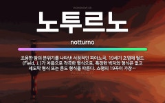 🌟노투르노: 조용한 밤의 분위기를 나타낸 서정적인 피아노곡. 19세기 초엽에 필드(Field, J.)가 처... - 표준국어대사전