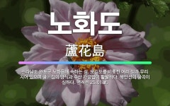 🌟노화도: 전라남도 완도군 노화읍에 속하는 섬. 보길도를 비롯한 여러 섬과 무리 지어 있으며 굴ㆍ김의 양식... - 표준국어대사전
