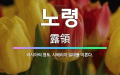 🌟노령: 러시아의 영토. 시베리아 일대를 이른다. - 표준국어대사전