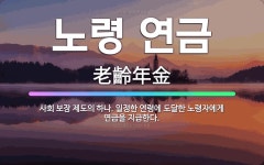 🌟노령 연금: 사회 보장 제도의 하나. 일정한 연령에 도달한 노령자에게 연금을 지급한다. - 표준국어대사전