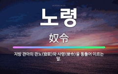 🌟노령: 지방 관아의 관노(官奴)와 사령(使令)을 통틀어 이르는 말. - 표준국어대사전