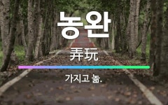 🌟농완: 가지고 놂. - 표준국어대사전