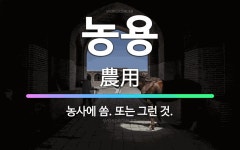 🌟농용: 농사에 씀. 또는 그런 것. - 표준국어대사전