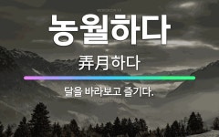 🌟농월하다: 달을 바라보고 즐기다. - 표준국어대사전