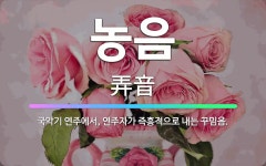 🌟농음: 국악기 연주에서, 연주자가 즉흥적으로 내는 꾸밈음. - 표준국어대사전